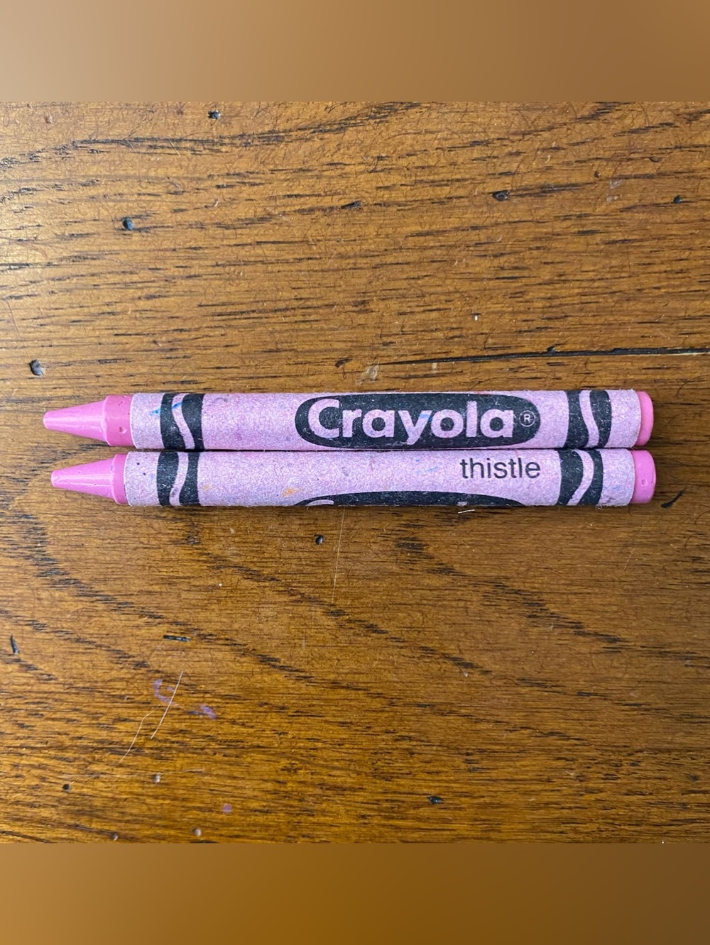 2 Vtg THISTLE Retired Crayola Crayons Discontinued Color Binney & Smith NEW